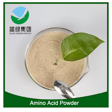 Amino Acid Powder